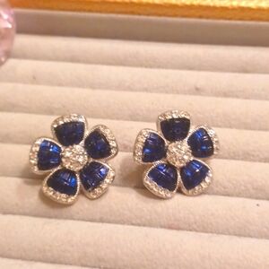 Brilliant blue and clear rhinestone earrings pierced
